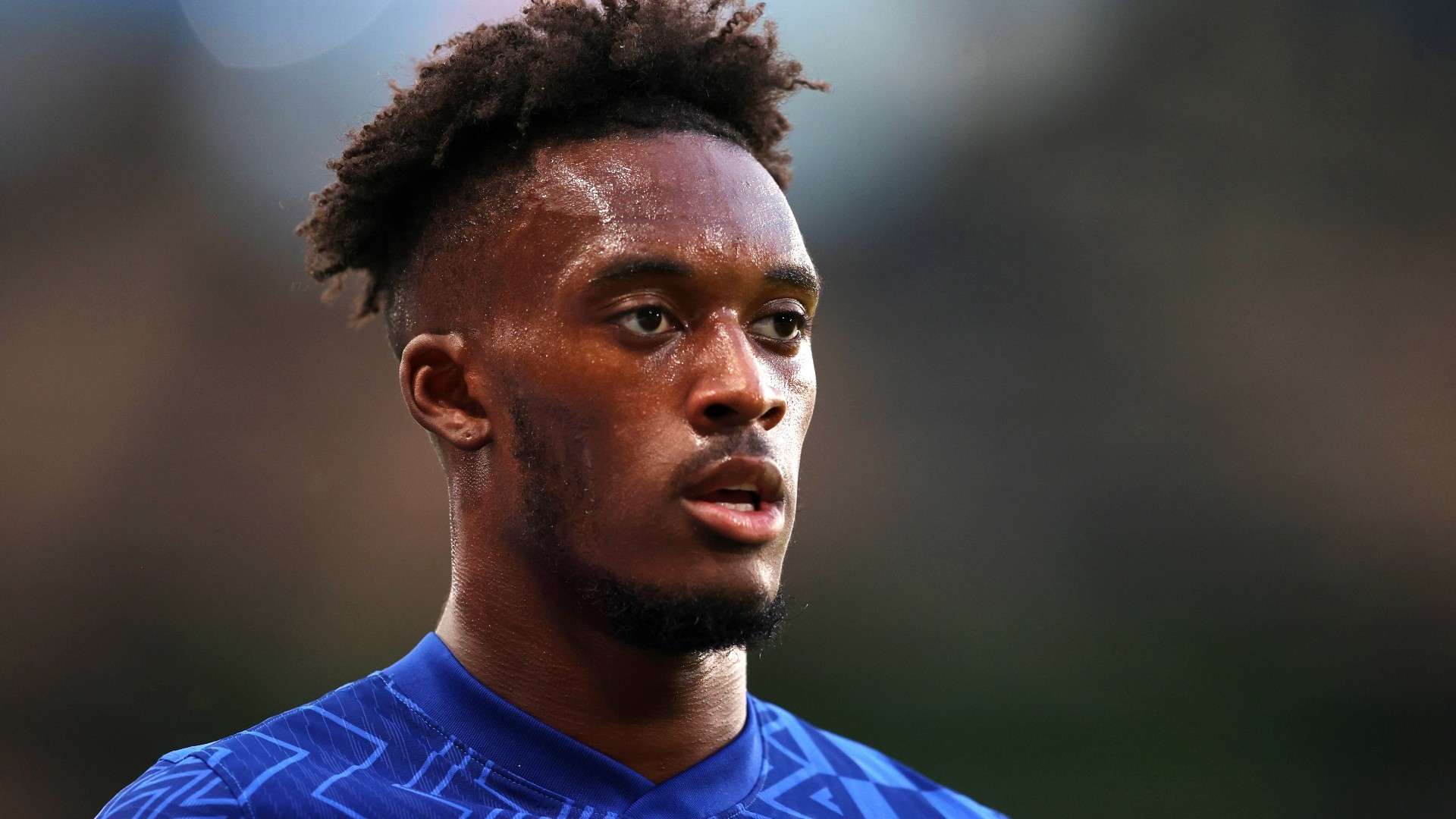 莎士比亚与 莎士比亚与